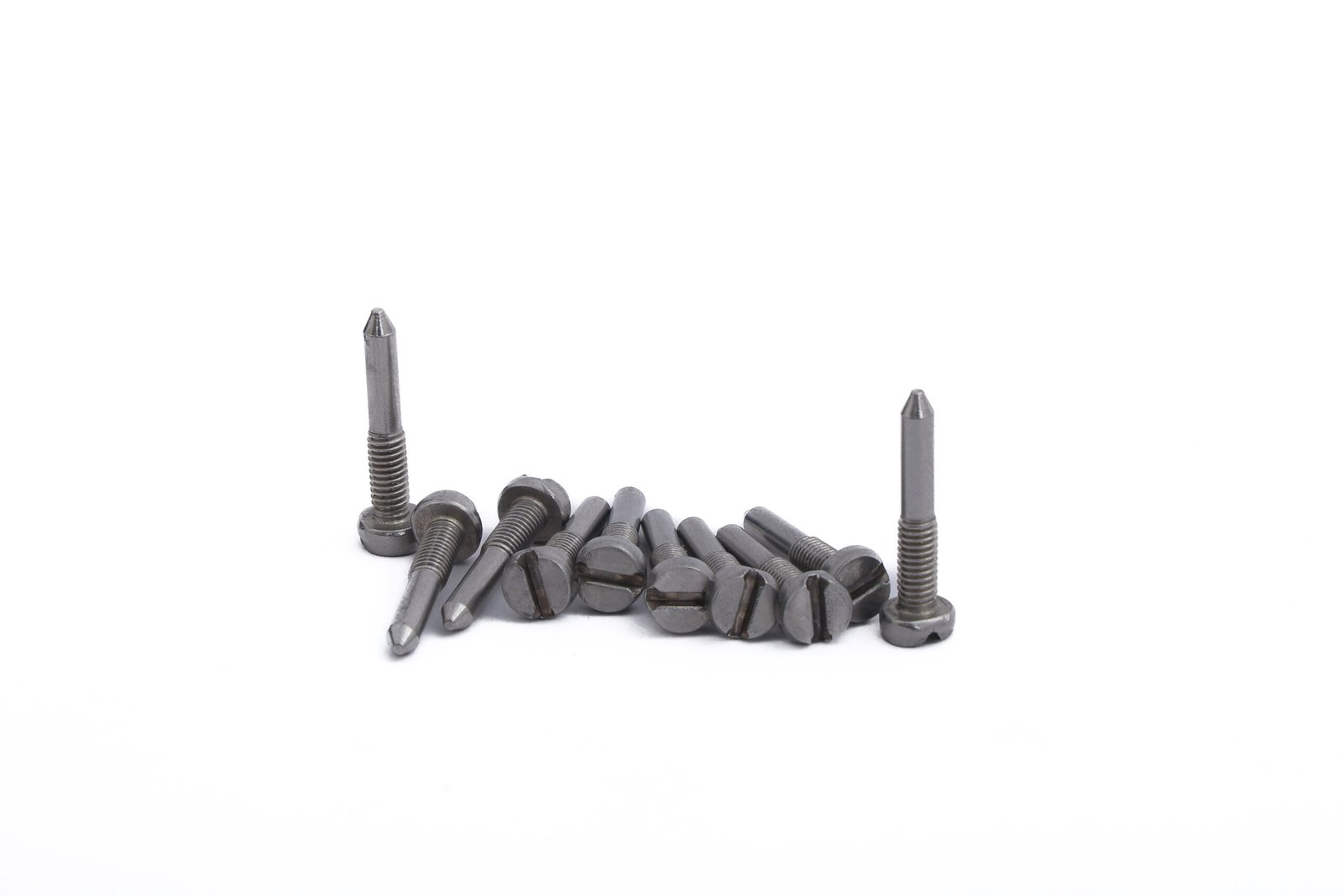 slooted-cheese-head-with-dog-point